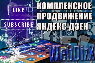 Комплексное продвижение Яндекс Дзен. Подписчики