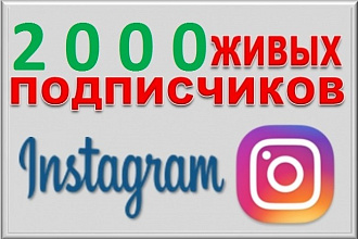 2000 живых подписчиков Instagram