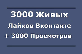 3000 Живых лайков Вконтакте. Бонус 3000 просмотров поста