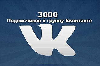 3000 подписчиков в группы ВКонтакте +1000 бонус