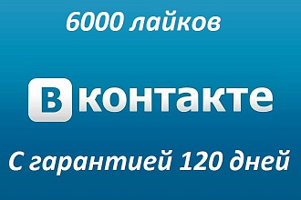 Акция 6000 лайков на фото, видео или запись Вконтакте с гарантией