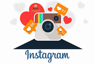 250 живых подписчиков в instagram из РФ