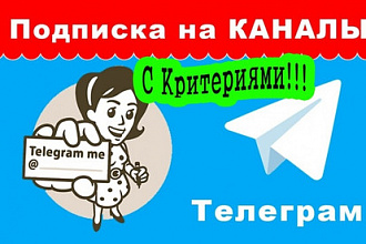 Привлеку подписчиков с критериями в Telegram - Телеграм