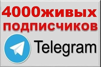 100 живых подписчиков в Телеграм Канал или Группу