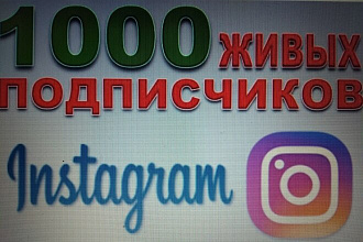 1000 живых подписчиков быстро и качественно