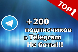 200 реальных подписчиков Telegram. Не боты