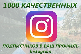 1000 качественных подписчиков в Instagram. Бонусом 3000 лайков