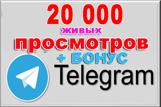 20000 просмотров + бонус 2000 просмотров на Telegram канал