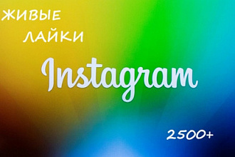 2500+ лайков в Instagram живыми людьми