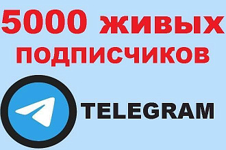 5000 живых подписчиков в Телеграм Канал или Группу
