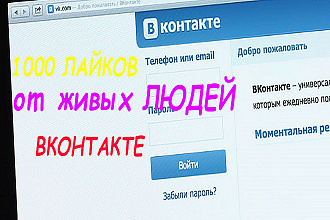 1000 Лайков Вконтакте от живых людей по критериям