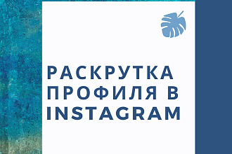 Ручная раскрутка профиля в Instagram