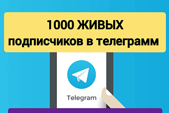 Добавлю 1000 ЖИВЫХ подписчиков в телеграмм