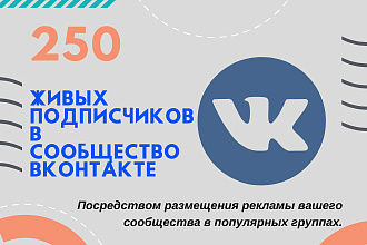 Привлеку 250 реальных подписчиков в сообщество Вконтакте