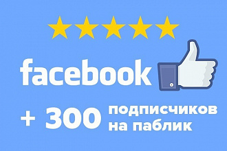 300 подписчиков на паблик в Фейсбук