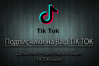 Подписчики на Ваш TikTok - продвижение TikTok