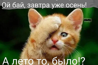 Лайки, Лайки, Лайки