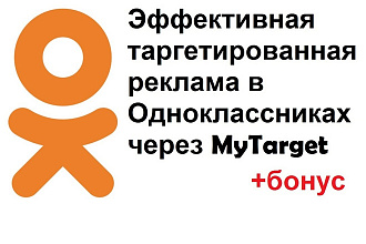 Эффективная таргетированная реклама в Одноклассниках через MyTarget