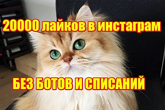 20000 лайков инстаграм, только живые аккаунты. Без ботов. Без списаний