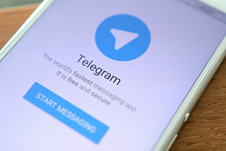 Привлеку 200 реальных подписчиков в Ваш Telegram канал