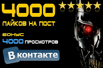 4000 лайков + бонус 4000 просмотров на пост Вконтакте