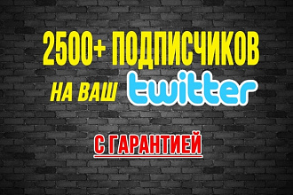 2500 подписчиков в Twitter