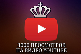 3000 просмотров YouTube