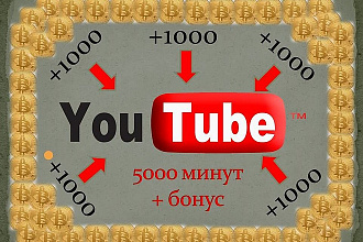 5000 просмотров на You Tube