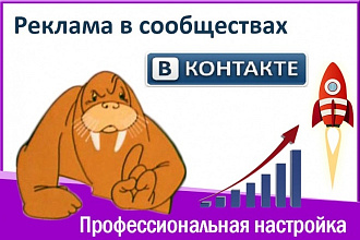 Настрою рекламу в сообществах Вконтакте для Вашего бизнеса