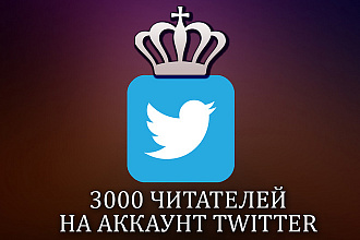 3000 читателей на аккаунт Twitter