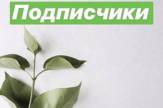 Продвижение в социальной сети Instagram. 2000 подписок