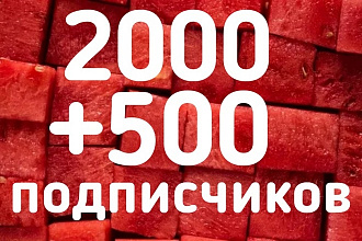 Подписчики youtube 2500 шт