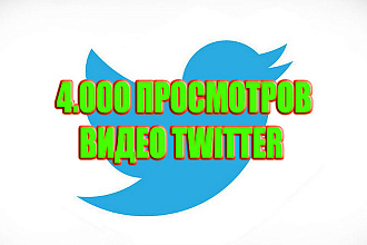 4000 просмотров ВИДЕО Twitter
