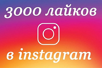 3000+ лайков на фото Instagram живые исполнители