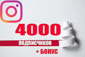 Живые подписчики Instagram 4000 + 1000 лайков