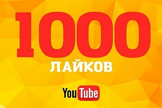 ОТ 2000 просмотров на любое ваше видео от живых людей