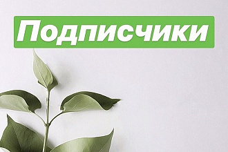 Продвижение в социальной сети Instagram. Lite. 1000 подписок