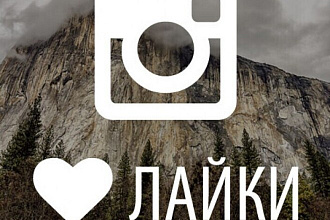 Лайки в Instagram. 500 честных