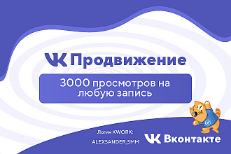3000 просмотров записей Вконтакте