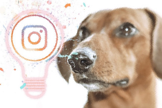Аудит аккаунта Instagram
