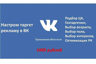 Настрою таргетированную рекламу ВК за 1000 рублей