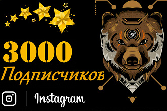 Привлечения 3000 подписчиков в instagram + бонус