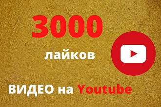 Youtube лайки на видео 3000 шт. Продвижение видео на Ютуб
