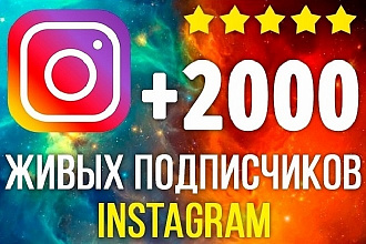 2000 подписчиков Instagram с аккаунтов конкурентов