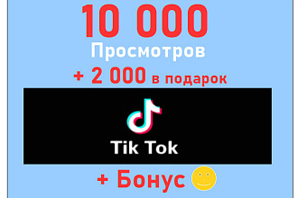 TikTok просмотры 10 000+супер бонус - 2 000 просмотров в подарок