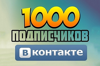 Увеличение числа подписчиков в ВКонтакте 1000+