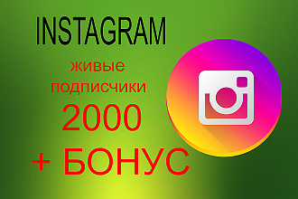 2000 живых подписчиков Instagram + бонус 500 лайков