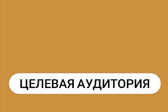 Проработка целевой аудитории