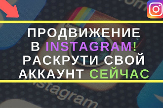 Приведу 1000 подписчиков в Instagram+ бонус
