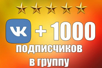 1000 подписчиков Вконтакте в группу или страницу ВК+БОНУС 500 лайков